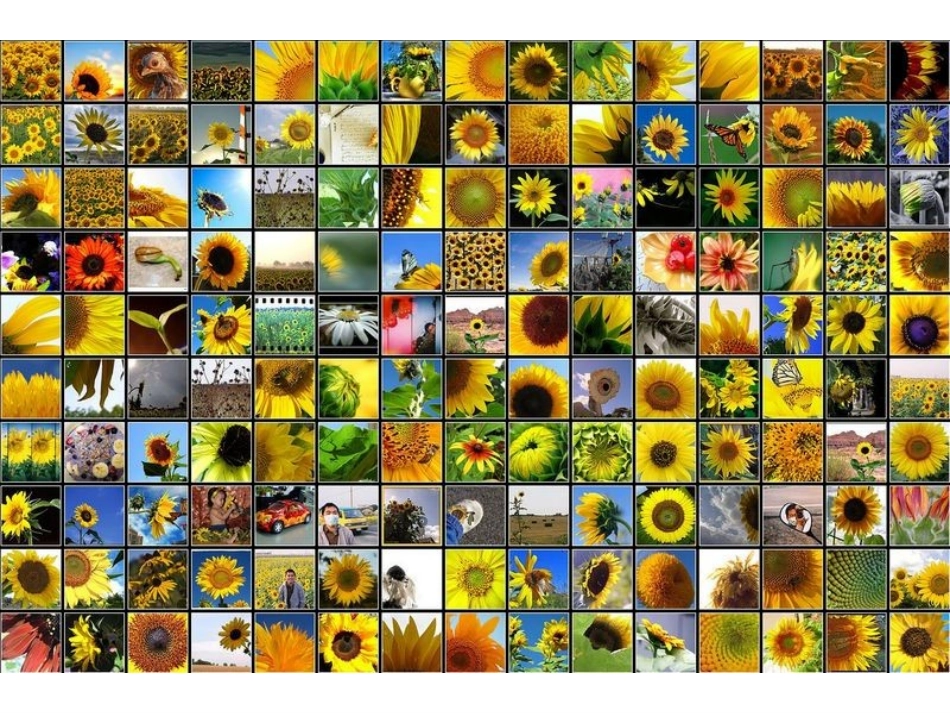 15-16第二学期课件_第3页