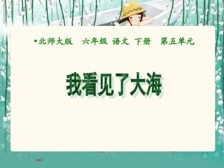 (北师大版)六年级语文下册课件我看见了大海1