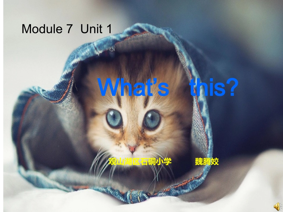 What’sthis_第1页