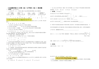 九年级数学复习《方程(组)与不等式(组)》测试题