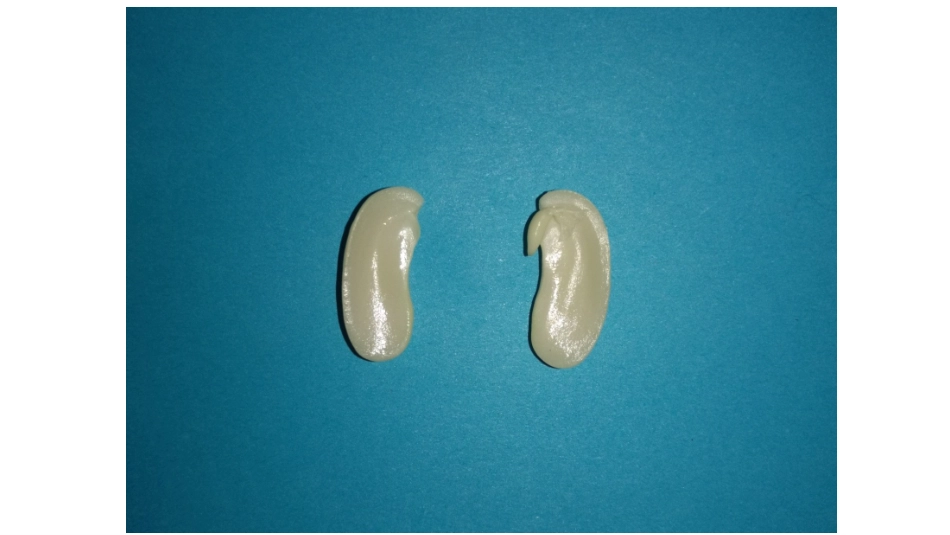 2.种子的结构_第2页