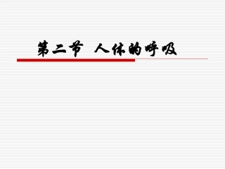 人体的呼吸运动12.13