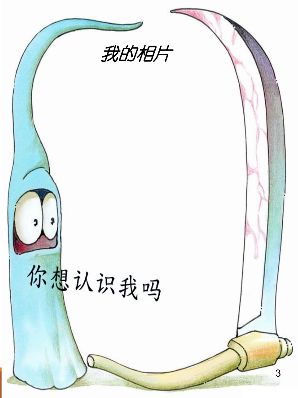 成长档案模板PPT-(3)_第2页