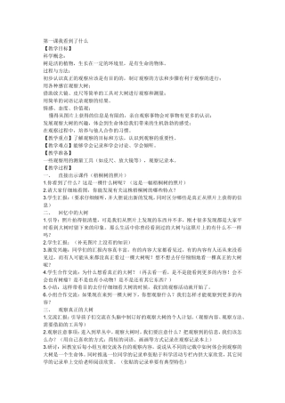 《我看到了什么》教学设计