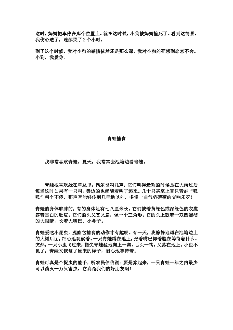 我喜欢的小动物_第2页