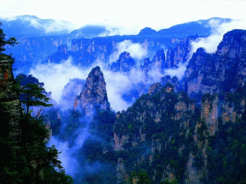 索溪峪的野[1]_第3页