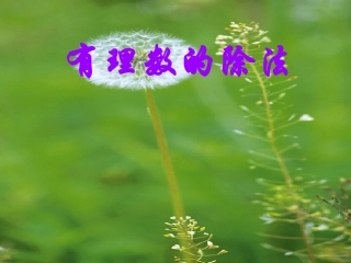 8有理数的除法-(2)