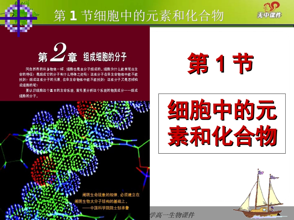 组成细胞的元素_第2页