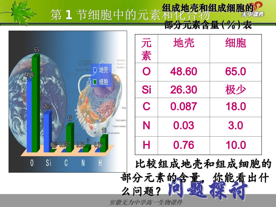 组成细胞的元素_第3页