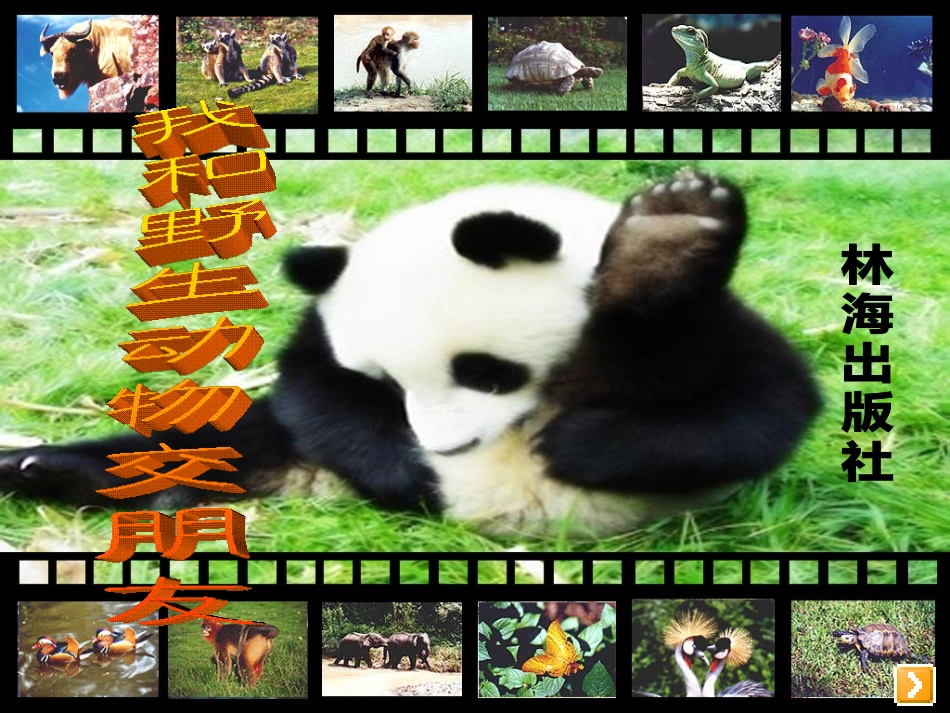 我和野生动物交朋友_第1页