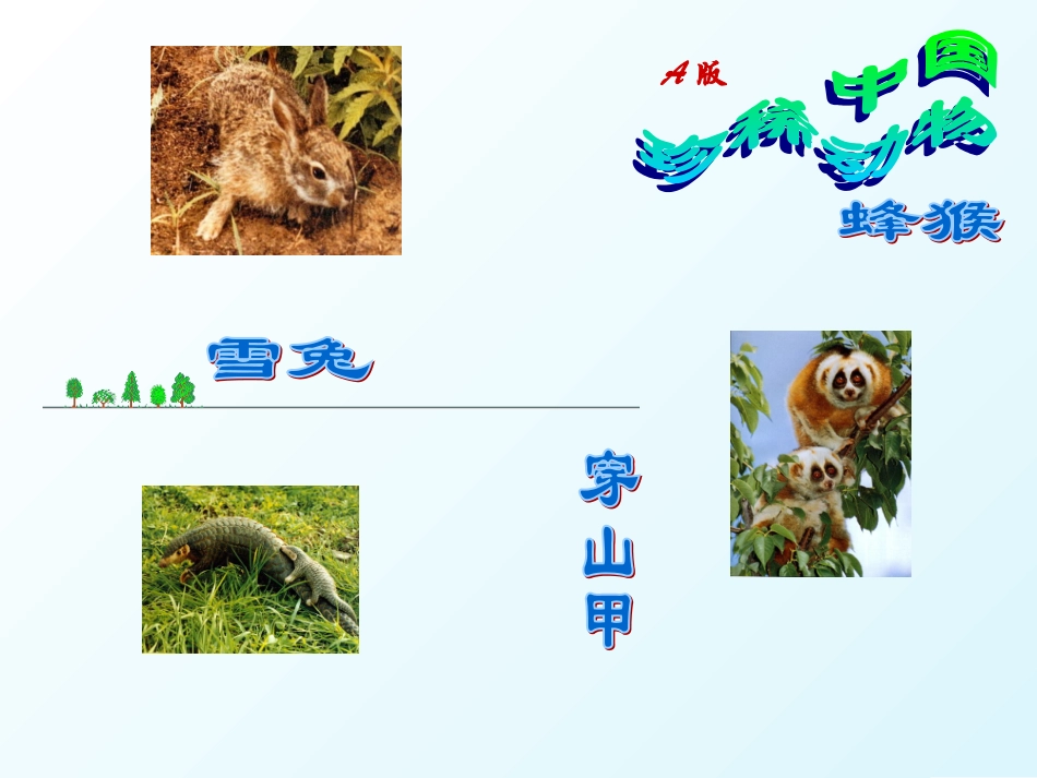 我和野生动物交朋友_第3页