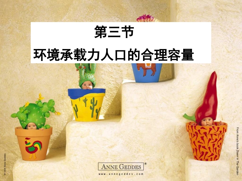第三节环境承载力与合理人口容量_第3页