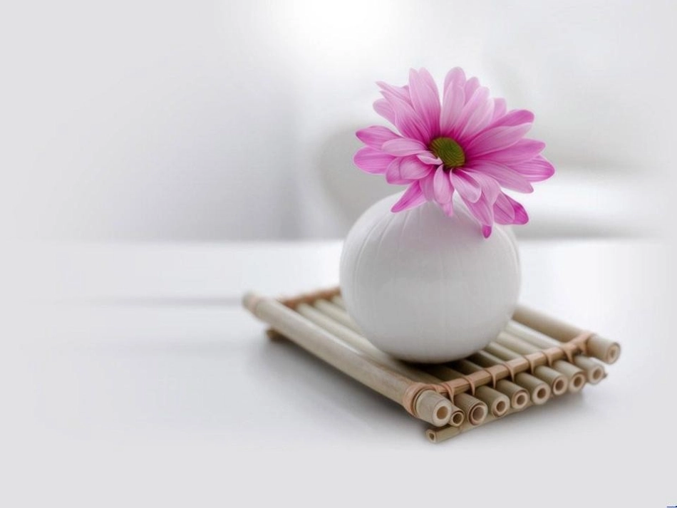 清新淡雅优美典雅的PPT背景模板-免费_第1页