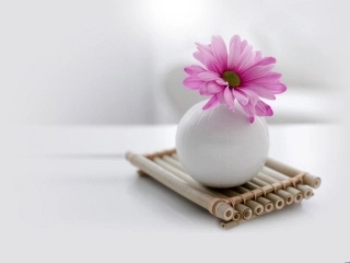 清新淡雅优美典雅的PPT背景模板-免费