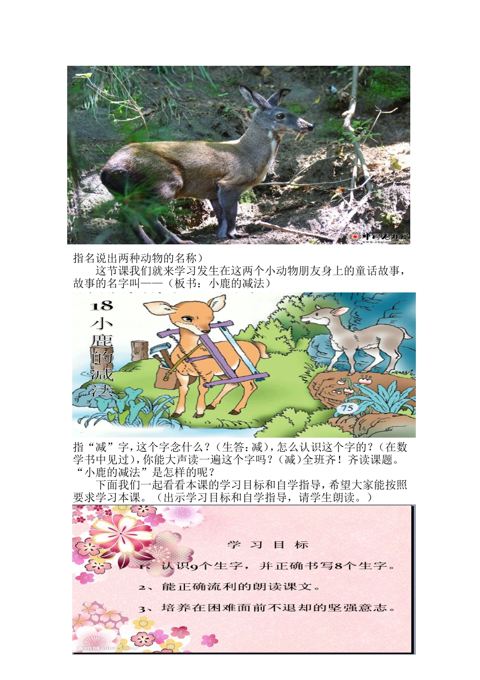 小鹿的减法第一课时_第2页