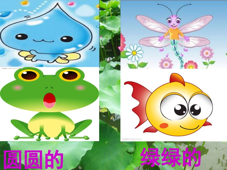 荷叶圆圆说课--课件第一课时_第2页