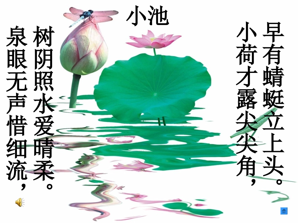 荷叶圆圆说课--课件第一课时_第3页