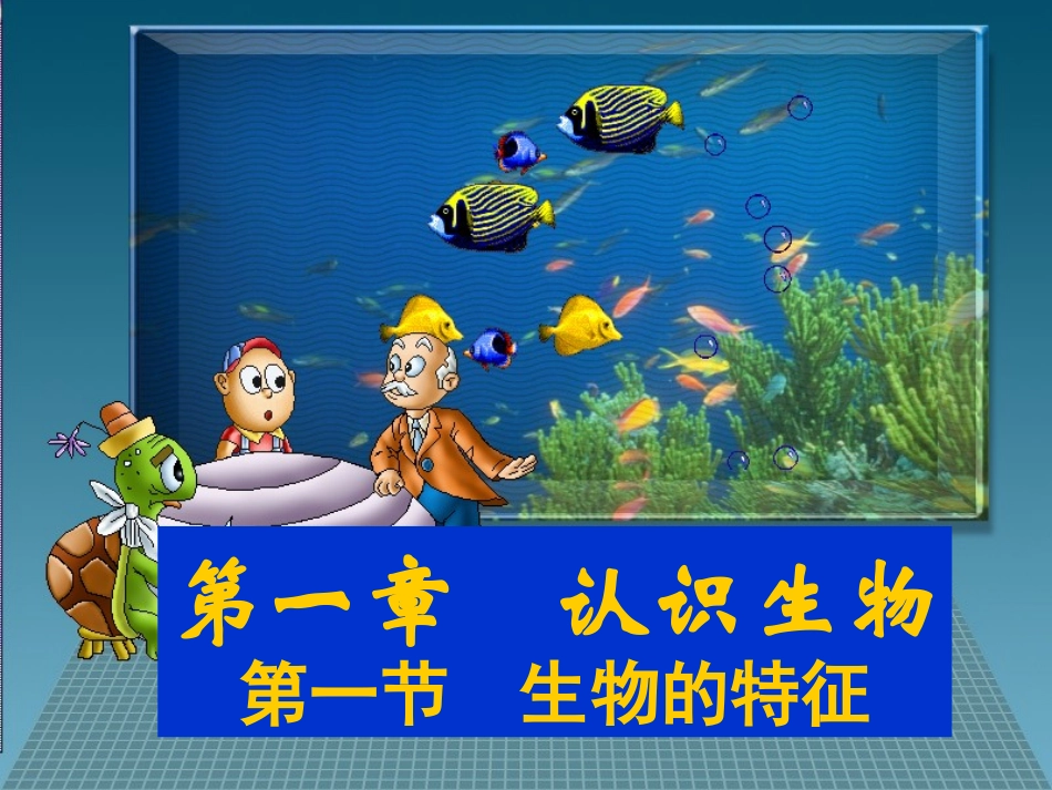 1.1生物的基本特征_第1页