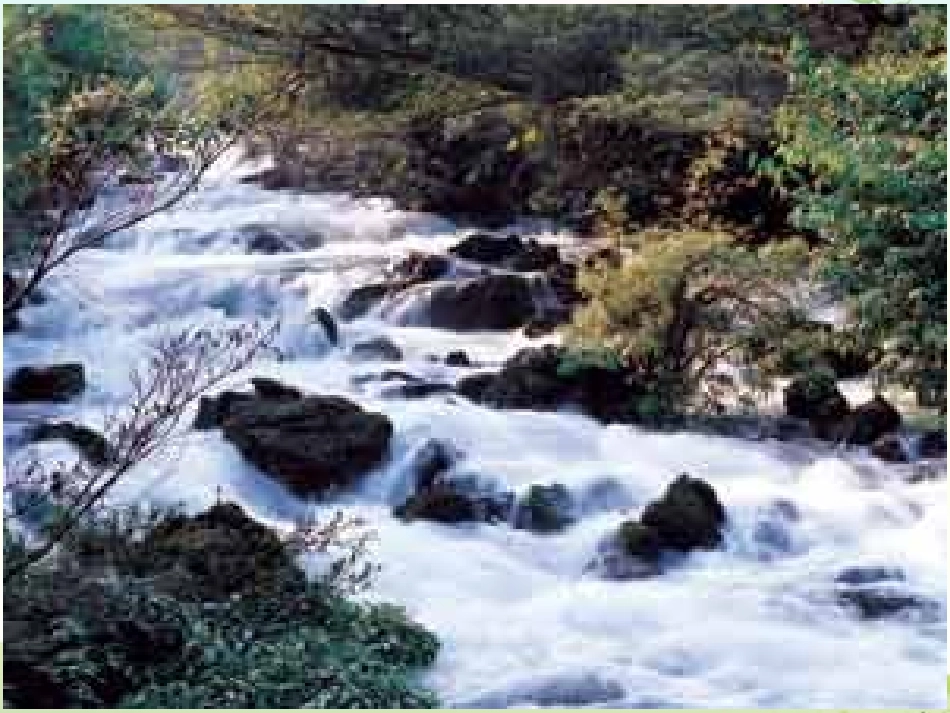 鄂教版四年级语文下册3、小溪流的歌_第2页