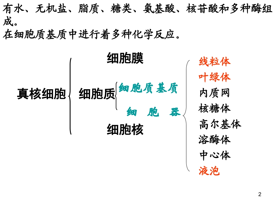 细胞器——细胞内的分工合作1_第2页