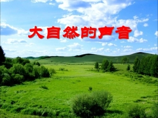 21大自然的声音