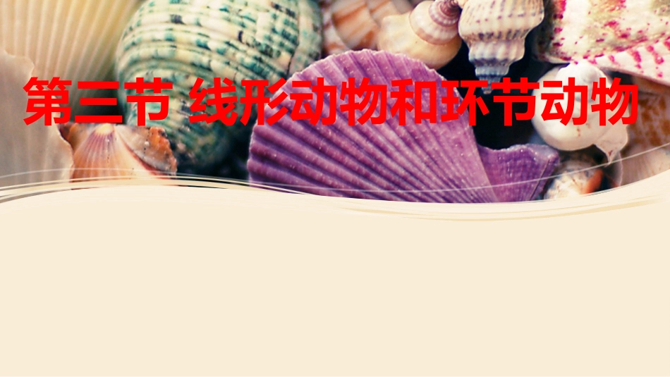 第三节线形动物和环节动物_第2页