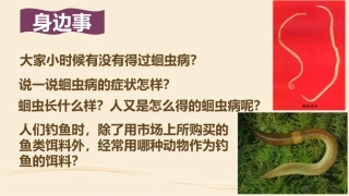 第三节线形动物和环节动物