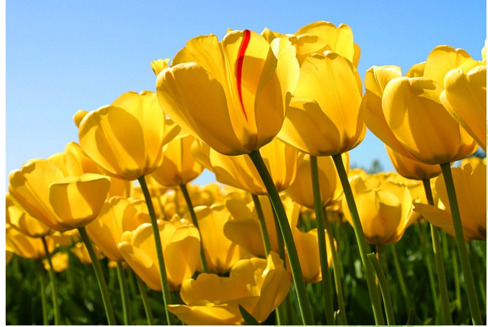 方程的根与函数的零点_第1页