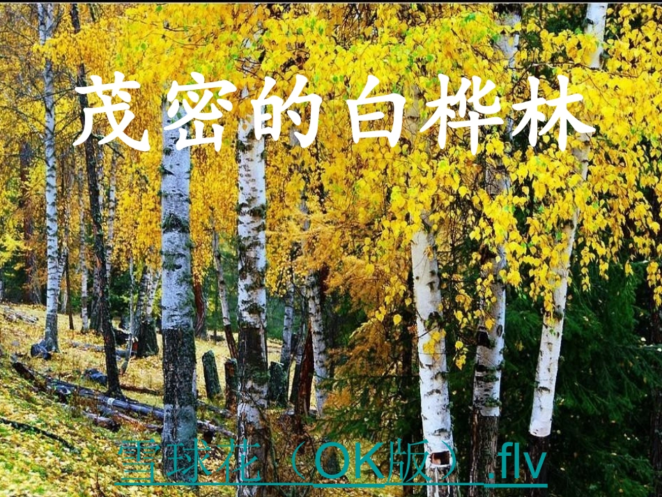 三单元flv_第1页