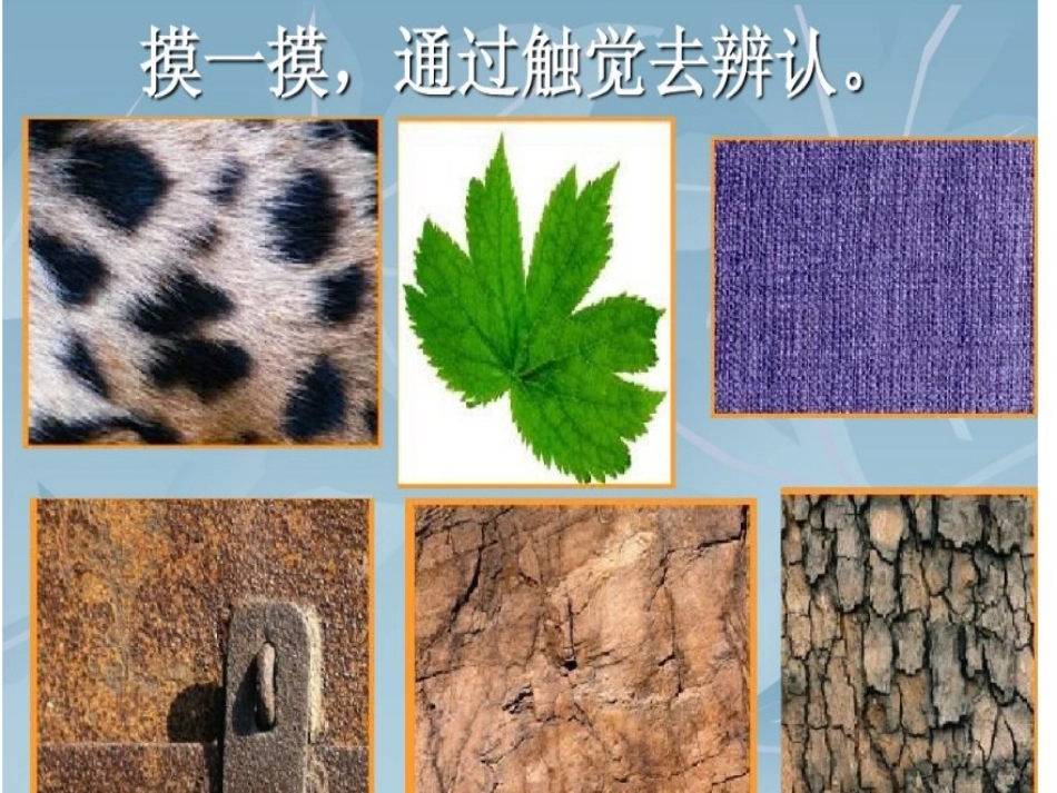 10.巧用肌理_第3页
