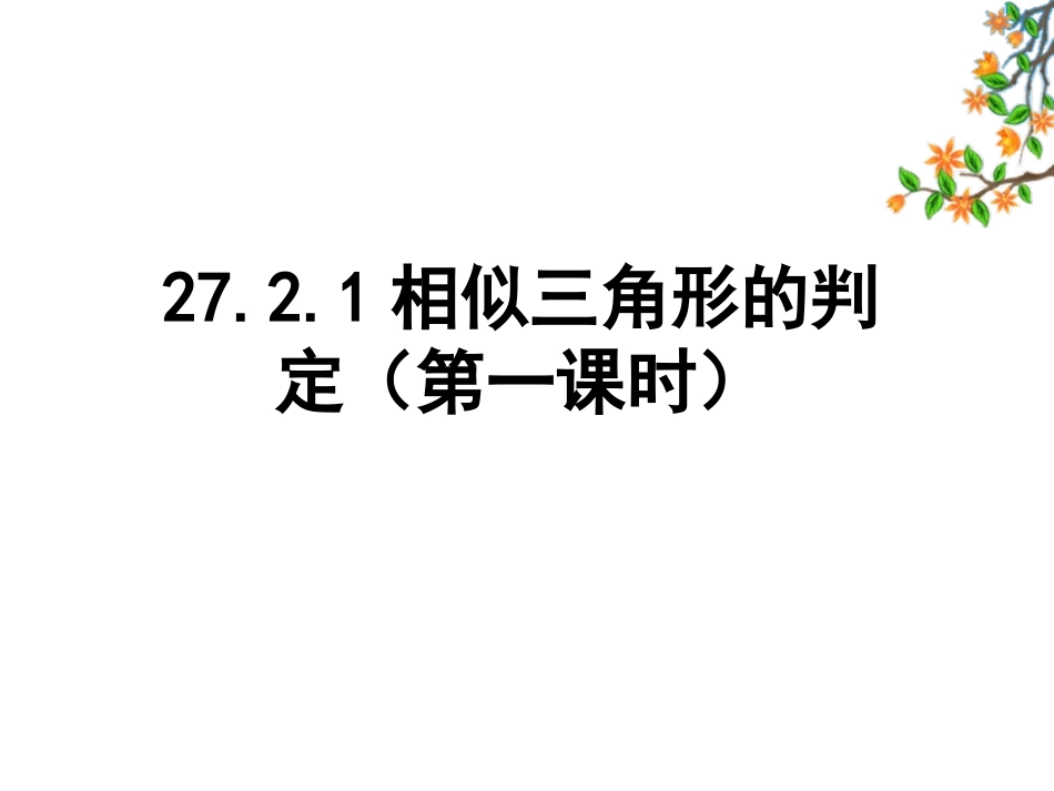 -相似三角形的判定第一课时_第1页