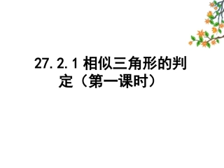 -相似三角形的判定第一课时