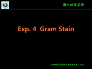 实验七、革蓝氏染色法