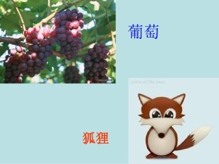 17酸的和甜的