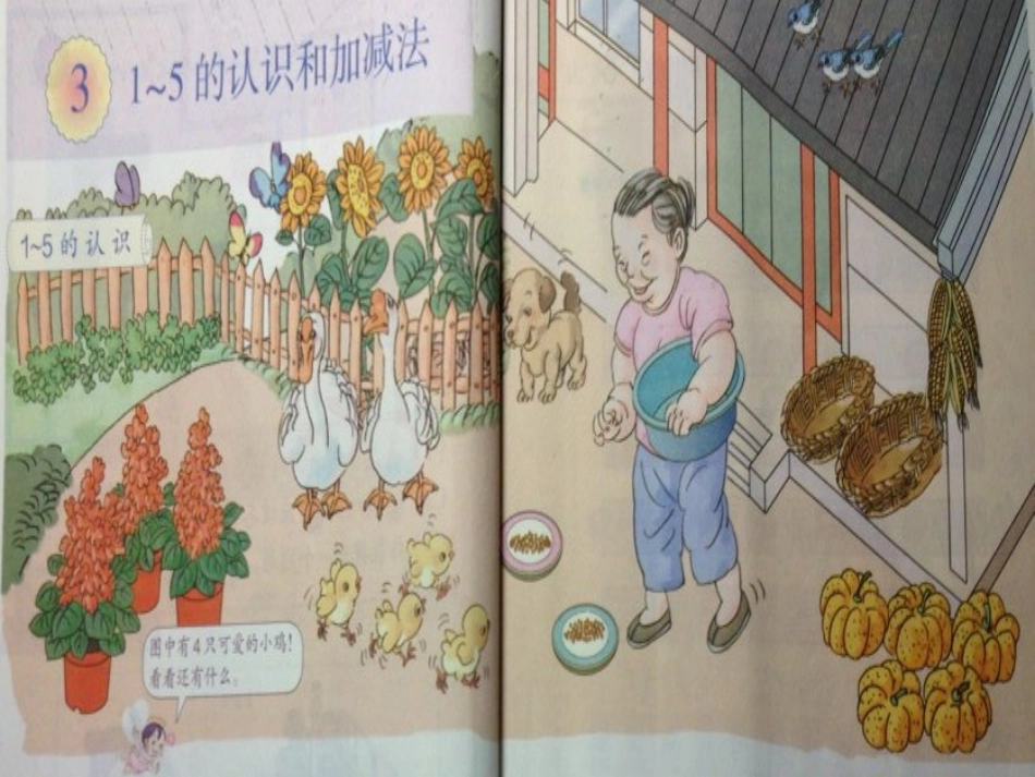 《1-5的认识》_第2页