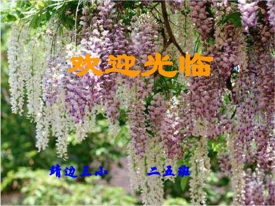 《与不良的行为习惯告别》主题班会课件_第1页