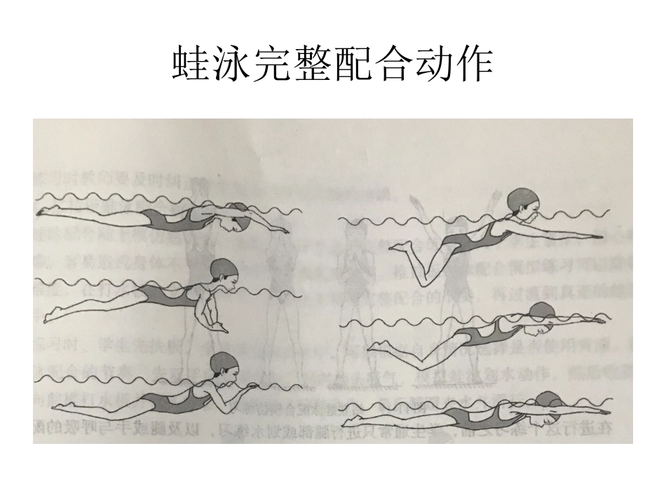 自游泳完整动作_第2页