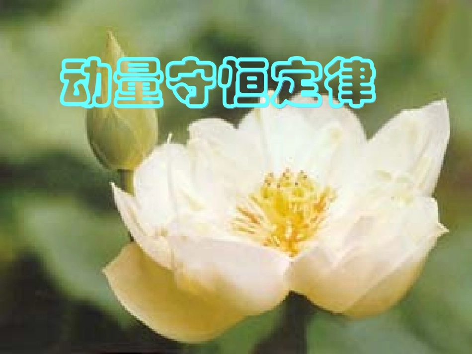 动量守恒定律_第1页