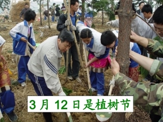 人教2011版小学数学三年级除数是一位数的笔算除法-(2)