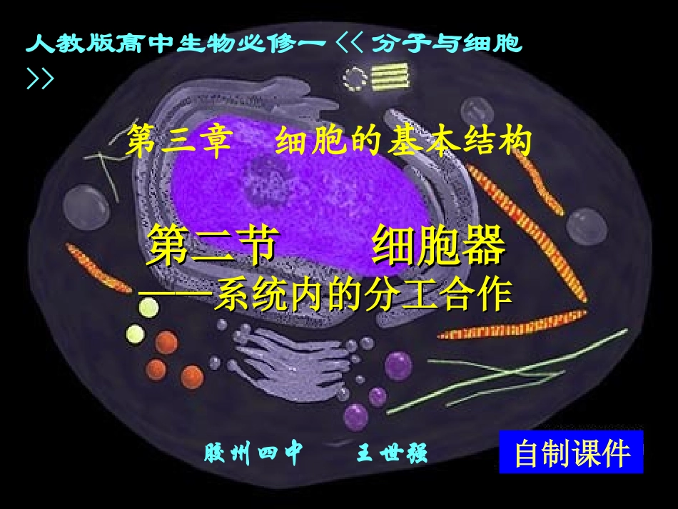 细胞器——系统内的分工合作课件_第1页