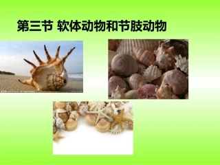 3-软体动物和节肢动物