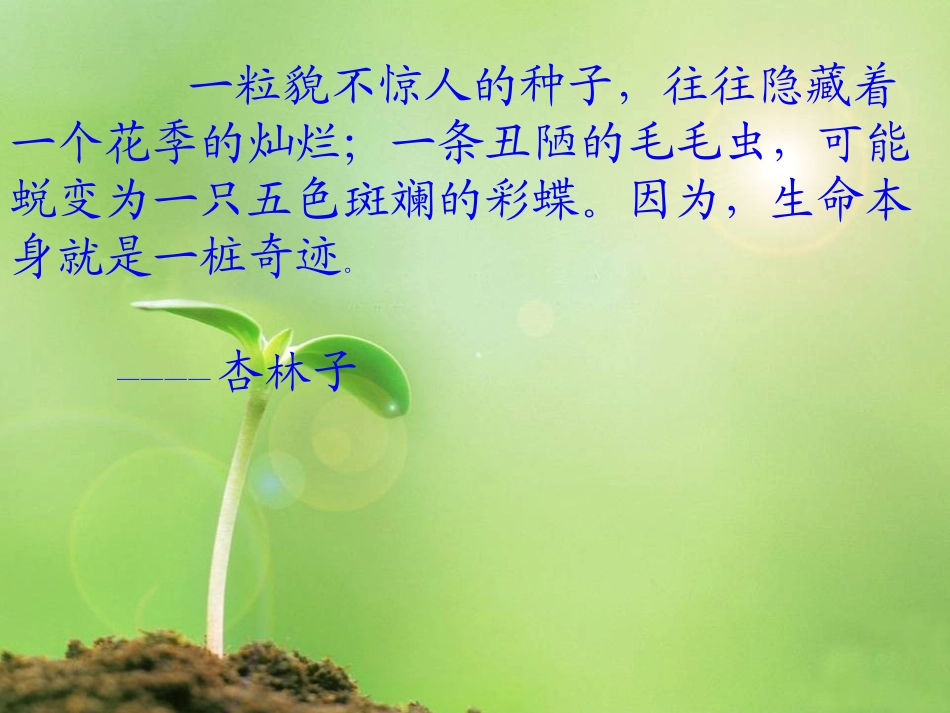 19、生命生命_第1页
