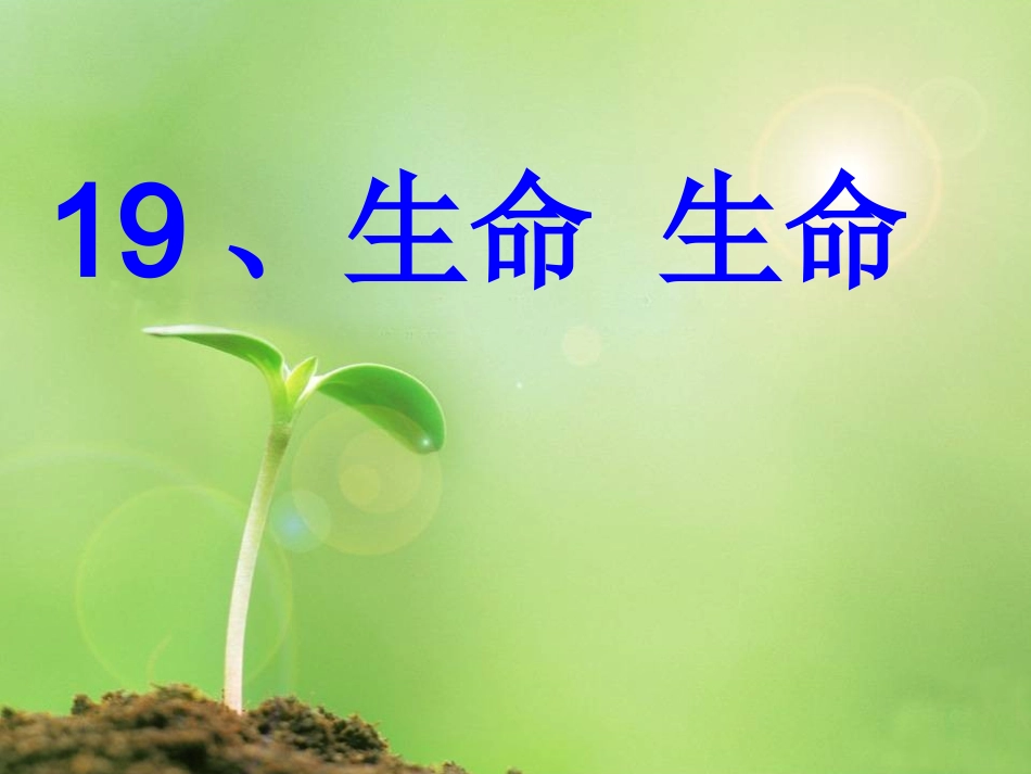 19、生命生命_第2页