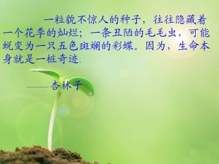 19、生命生命