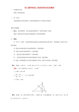初三数学相似三角形的判定知识精讲 浙江版 试题