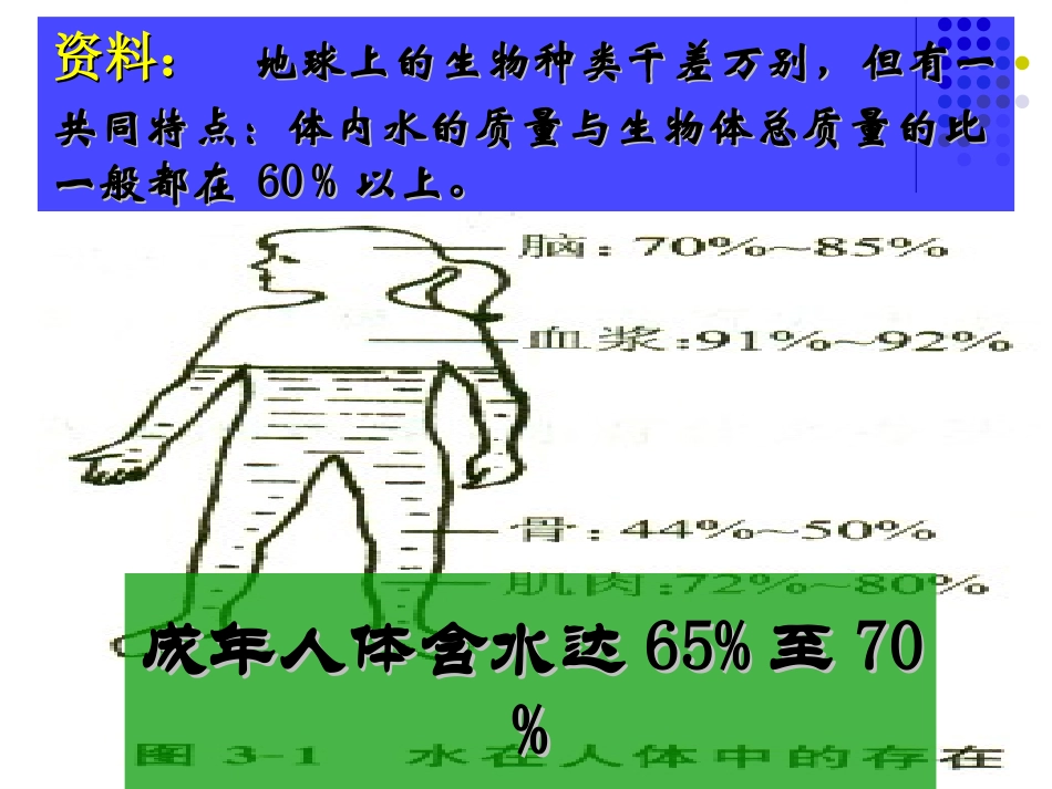 水的组成-(4)_第3页