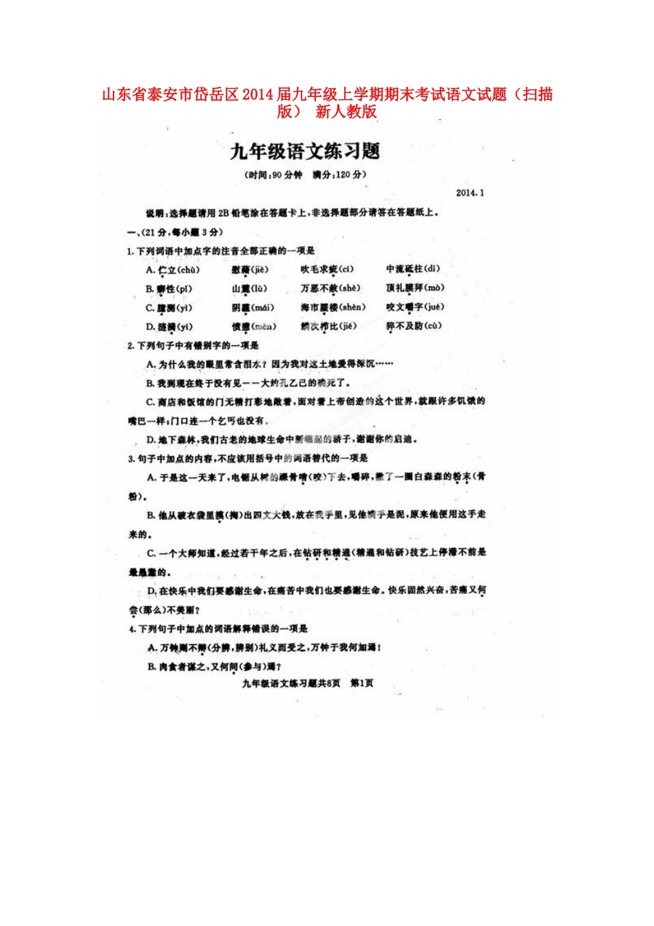 山东省泰安市岱岳区九年级语文上学期期末考试试卷新人教版试卷_第1页