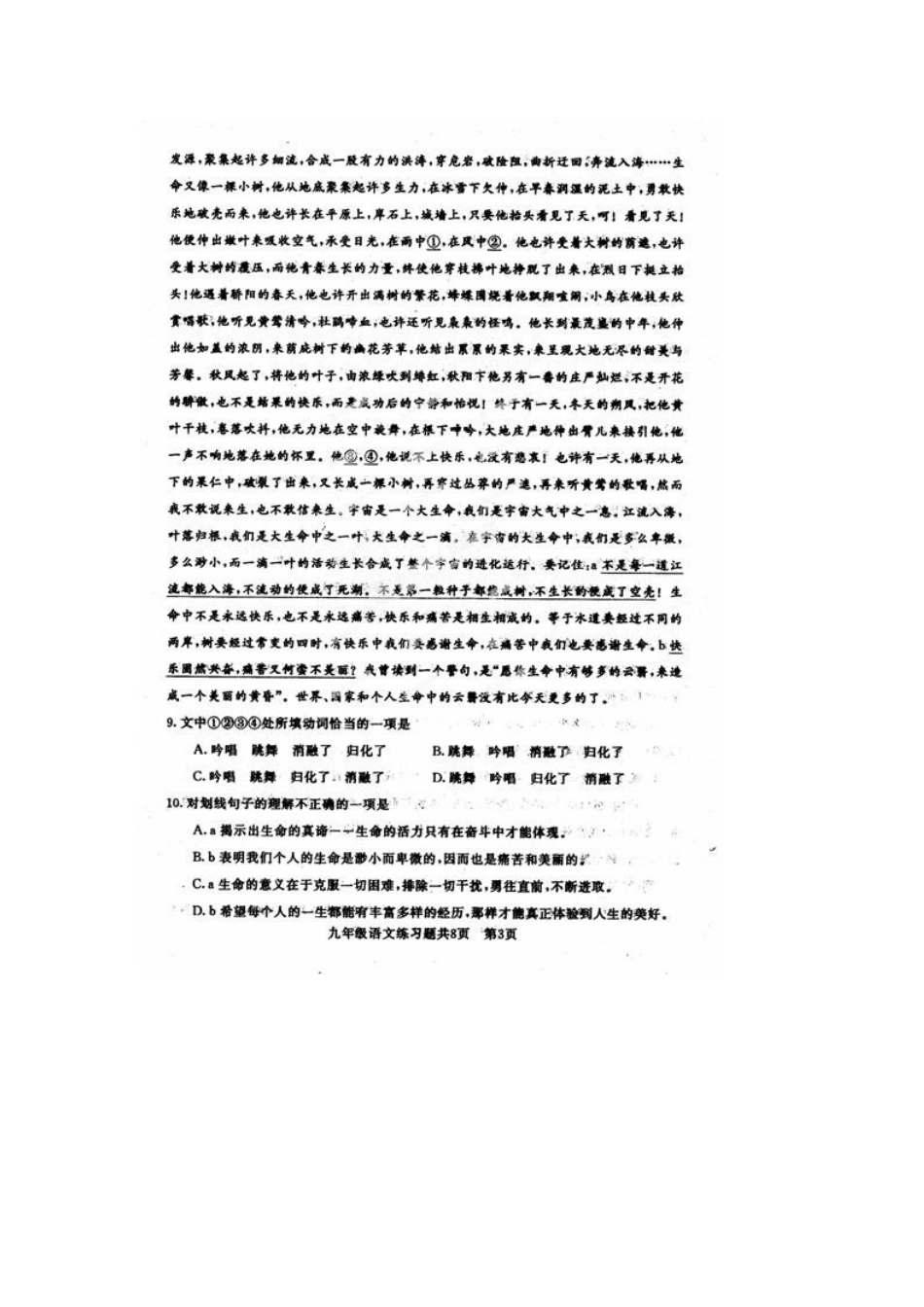 山东省泰安市岱岳区九年级语文上学期期末考试试卷新人教版试卷_第3页