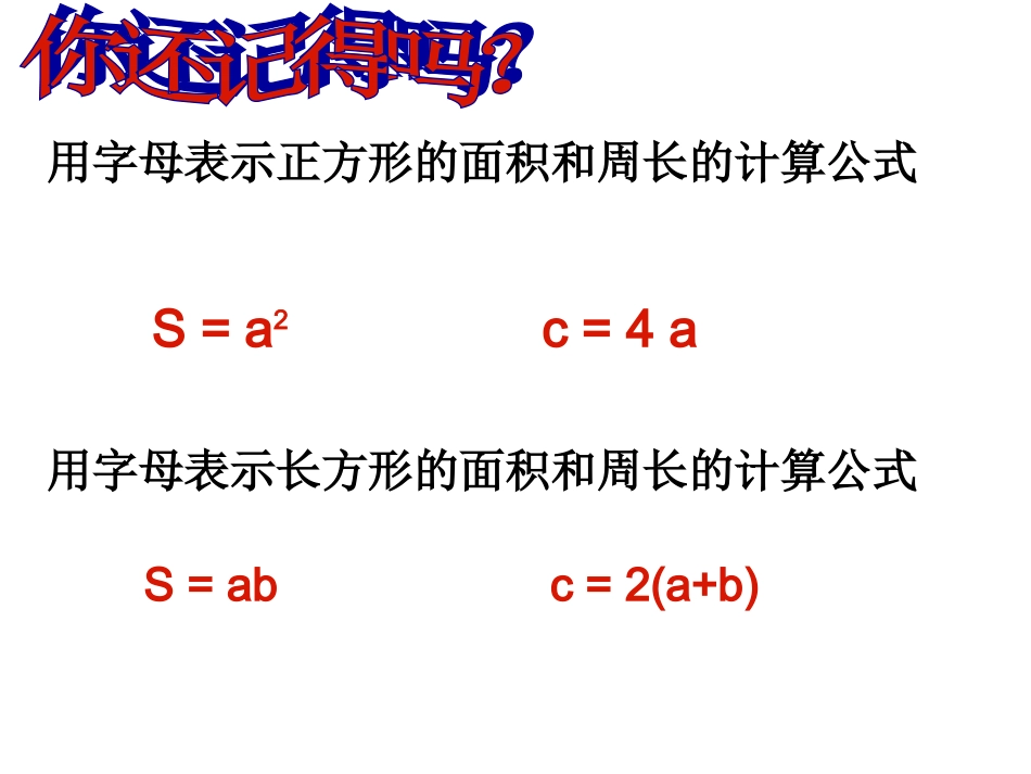 用字母表示数复习飒_第3页