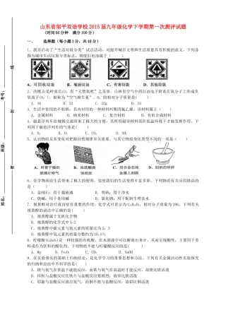 九年级化学下学期第一次测评试卷(宏志班，无答案)试卷